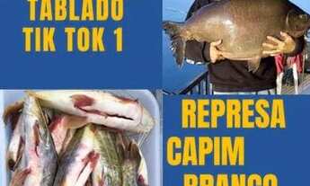 Imagem: VENDO TABLADO SENTIDO TENDA DOS MORENO