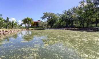 Imagem 4: Sítio em Belém Novo