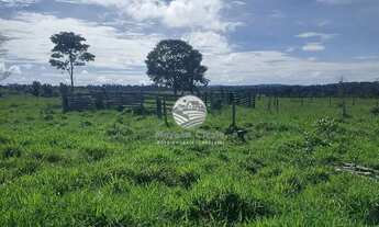 Imagem 4: Venda - Sítio - Machadinho D'Oeste - 6,5 alqueires