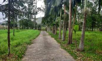 Imagem: Vendo Sítio em Juiz de Fora/MG (Direto