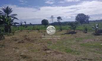 Imagem 5: Venda - Sítio - Machadinho D'Oeste - 6,5 alqueires