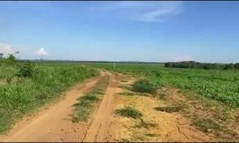 Imagem: FAZENDA Á VENDA EM JANGADA-MT!