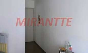 Imagem 4: Lindo apartamento em Vila Guilherme