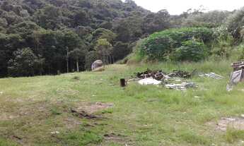 Imagem 7: Excelente área com 4.000 Mts², com pesqueiro cercado de muito verde