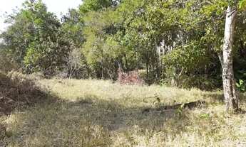 Imagem 6: 1 Alqueire, Energia, Córrego, Tanque de Peixe, Terra Mista, Aragoiânia