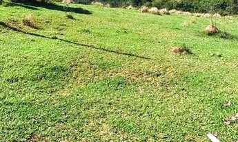 Imagem 15: GATANRA JÁ SEU TERRENO