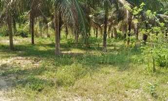 Imagem 3: Vendo esta colônia na Alcoobrás