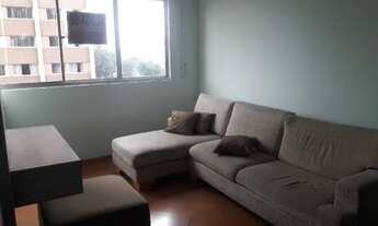 Imagem 3: Apartamento 2 Quartos Para Alugar Cristo Rei