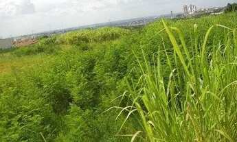 Imagem 2: área - Parque Taquaral - Campinas