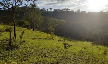Imagem 7: OPORTUNIDADE FAZENDA 56 ALQUEIRES