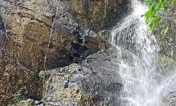 Imagem 5: Fazenda em Perinopolis