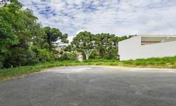 Imagem 8: TERRENO 564 m² ABRANCHES