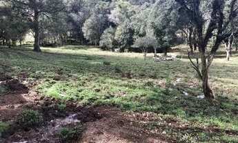 Imagem 3: Área 10.000m² Terreno / lote com venda por R$601.000