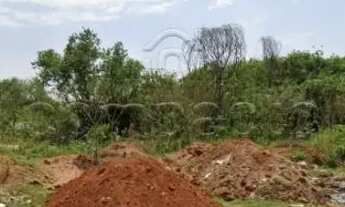 Imagem: Terreno Padrão