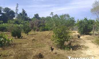 Imagem 3: Terrenos de chácara em Salto de Pirapora!