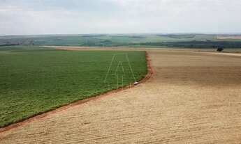 Imagem 4: Fazenda à Venda 406 alq - Próxima a Araraquara - SP