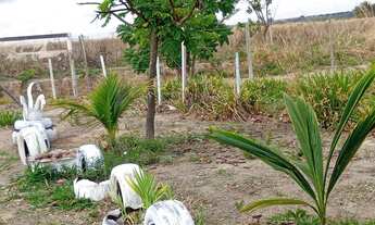 Imagem 4: Vende-se chácara na Marajó-Go