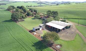 Imagem 6: Fazenda com 100% com Dívida no banco em Goiás