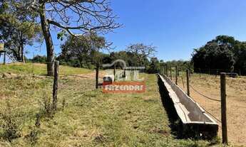 Imagem 7: Fazenda 23 Alqueires ( 111.32 hectares) Caldas Novas-GO