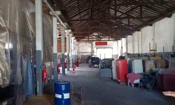 Imagem 6: Galpão Industrial na Mooca 1236 m² de área útil