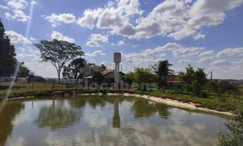 Imagem 7: Sítio a 2 km da cidade de Tanabi, com 2.5 alqueires (60.500m²), com casa, curral, tanque d