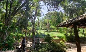 Imagem 7: Kitnets/casa dentro uma chácara urbana Jaiara/Anapolis