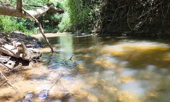 Imagem 3: Hidrolândia Chácara 20.000m² riquíssima dágua