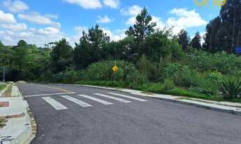 Imagem 3: Terreno à venda, 3700 m² por R$ 660.000,00 - Vila Brasila - Mandirituba/PR