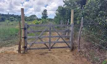 Imagem 7: Sítio linha verde Esplanada 21000m2