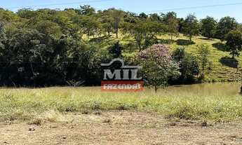 Imagem 5: Chácara 7.97 alqueires (38,57 hectares) Cromínia - GO