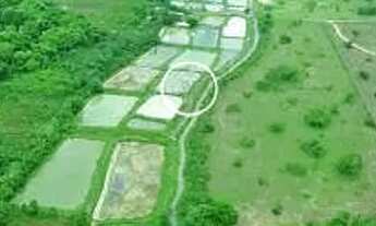 Imagem: FAZENDA (353 hectares) NO MUNICÍPIO DE