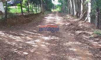 Imagem 2: Chácara à venda