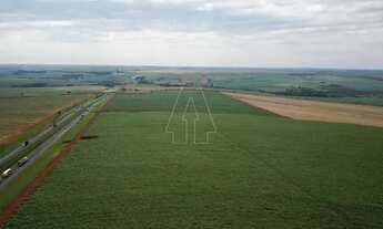 Imagem 3: Fazenda à Venda 406 alq - Próxima a Araraquara - SP