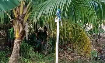 Imagem 5: Casa a venda Casa com 2 dormitórios