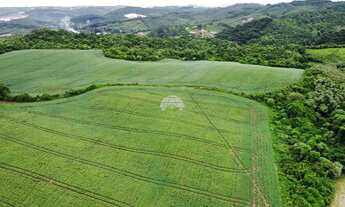 Imagem 4: Vendas Chácara Almirante Tamandaré PR