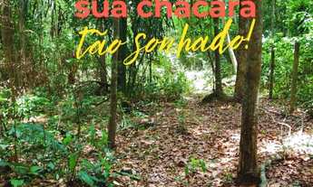 Imagem 3: ÚNICA CHÁCARA COM CÓRREGO E 6 MIL M² AO LADO DA BR 010 INDO PARA APARECIDADA DO RIO NEGRO