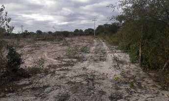 Imagem 2: Tarefa de terra Chácara com venda por R$20.000