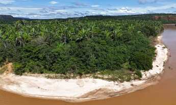 Imagem: Venda de Fazenda para criação de gado