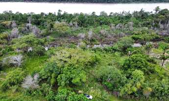 Imagem: Terreno 1 hectare à beira do Rio Branco