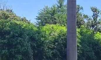 Imagem 6: Chácara à venda, Estância Vargem Bonita, Senador Canedo, GO