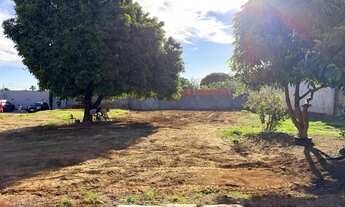 Imagem 2: Ponte alta norte