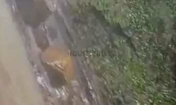 Imagem 5: Fazenda em Nobres com cachoeiras e área de pastagens