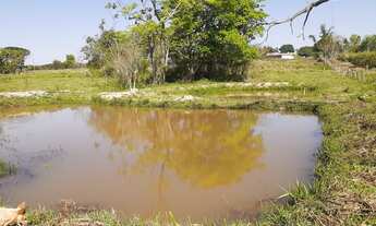 Imagem 4: Chácara 1,5 alqueires, 3 km de Ivinhema