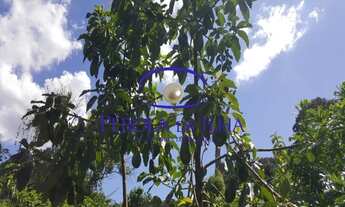 Imagem 5: SITIO RESIDENCIAL em FLORIANÓPOLIS - SC, RATONES