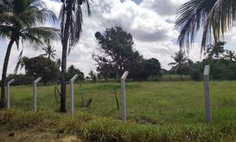 Imagem 5: Sítio / fazenda em itaporanga