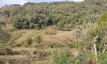 Imagem 6: Sítio para Venda em Rancho Queimado, Vargeado