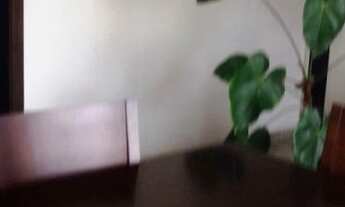 Imagem 2: APARTAMENTO - PERDIZES - SP