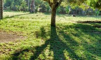 Imagem 5: Vendo esse lindo sitio estrada de Balbina . Valor 120 mil