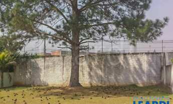 Imagem 3: TERRENO EM CONDOMÍNIO - ALPHAVILLE - SP