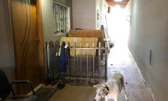 Imagem 6: Casa térrea grande perto shopping bosque com terreno amplo